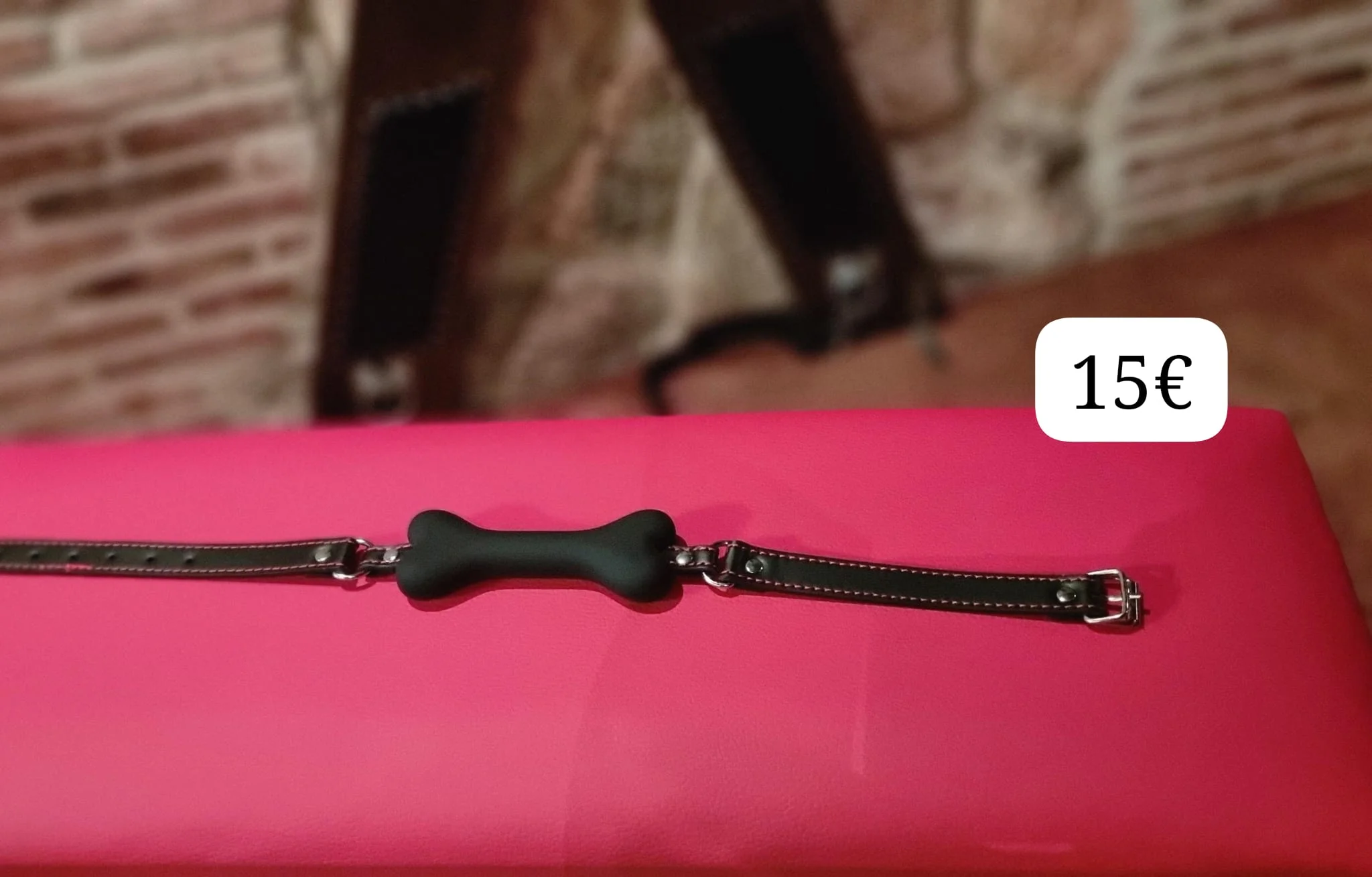 Bone-Shaped Silicone Gag